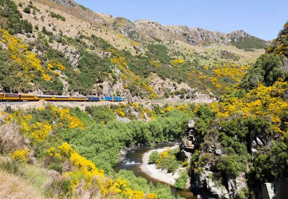 Train