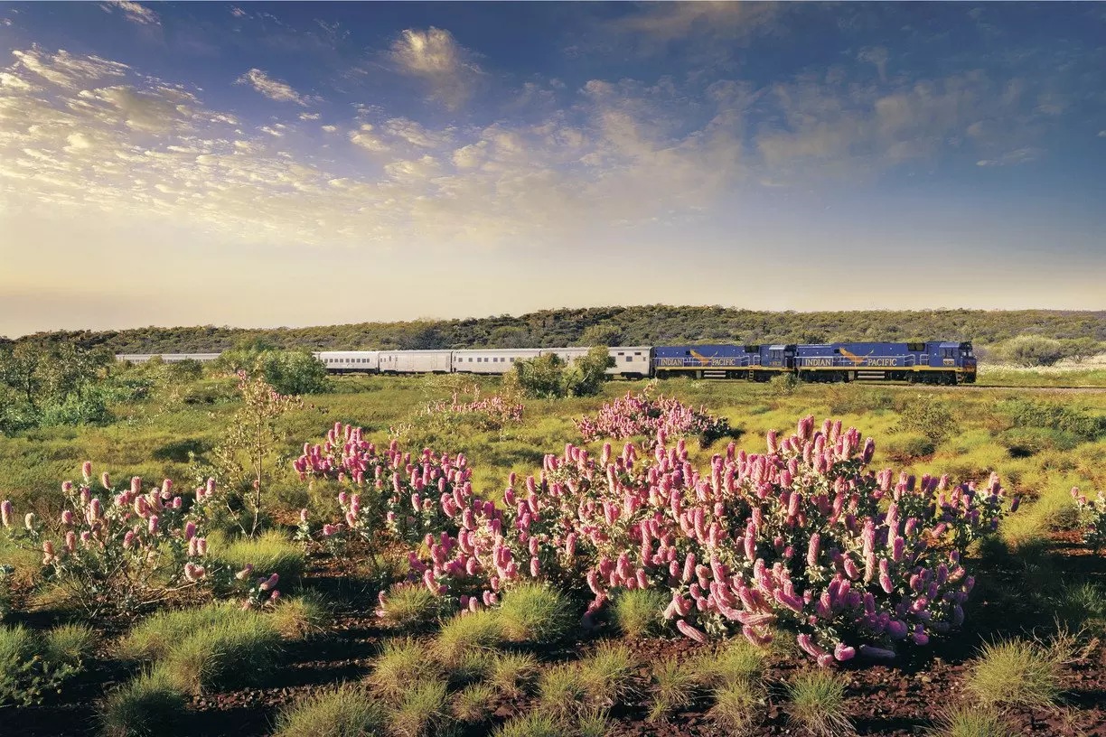 Train