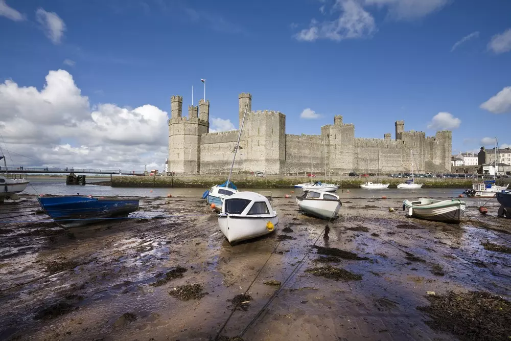 Castle