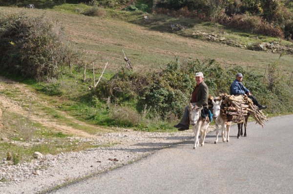 Albania