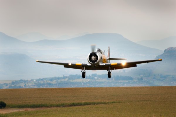 Harvard Landing